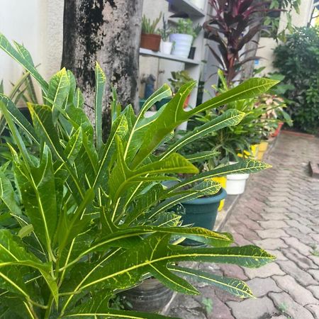 Bed and Breakfast L&J Modern Backpackers Kinondoni Dar es Salaam Esterno foto