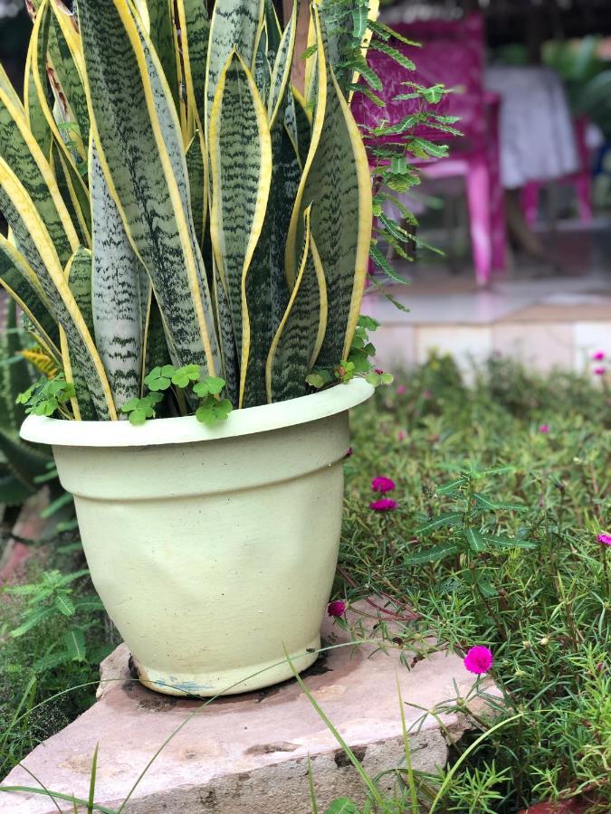 Bed and Breakfast L&J Modern Backpackers Kinondoni Dar es Salaam Esterno foto