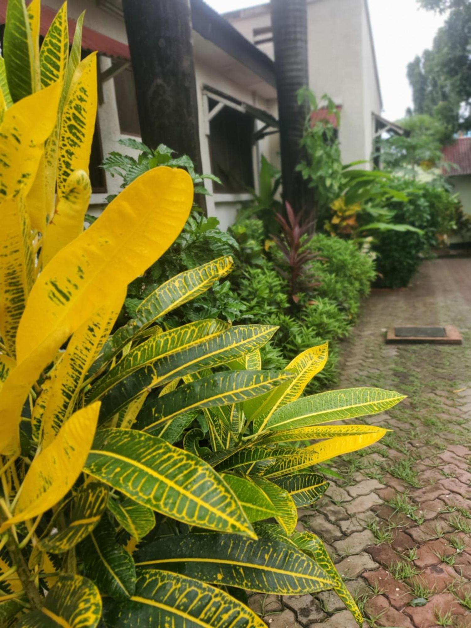 Bed and Breakfast L&J Modern Backpackers Kinondoni Dar es Salaam Esterno foto